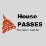 House Approves Butch Lewis Act